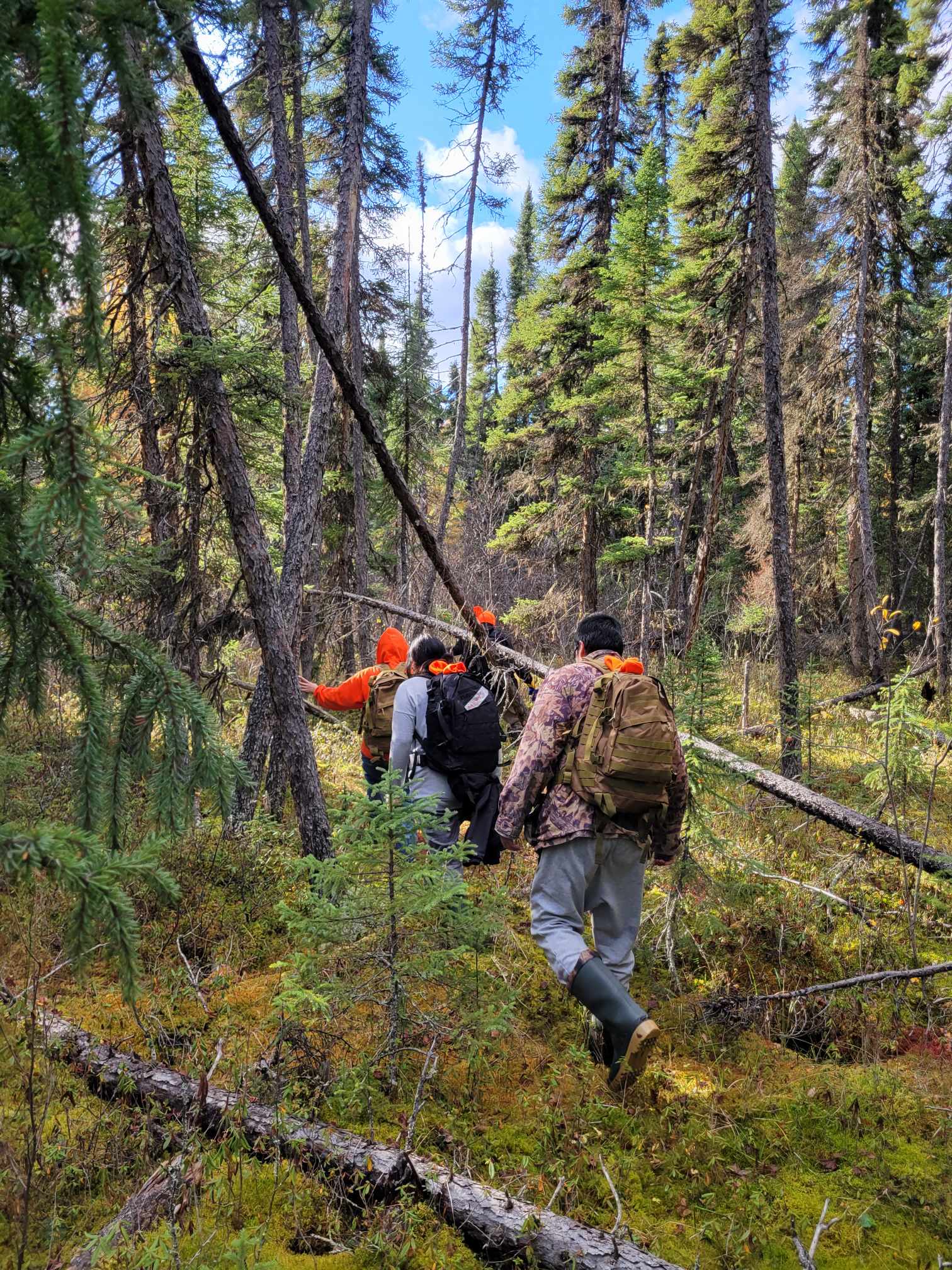 A group of hunters walking through a wooded area.